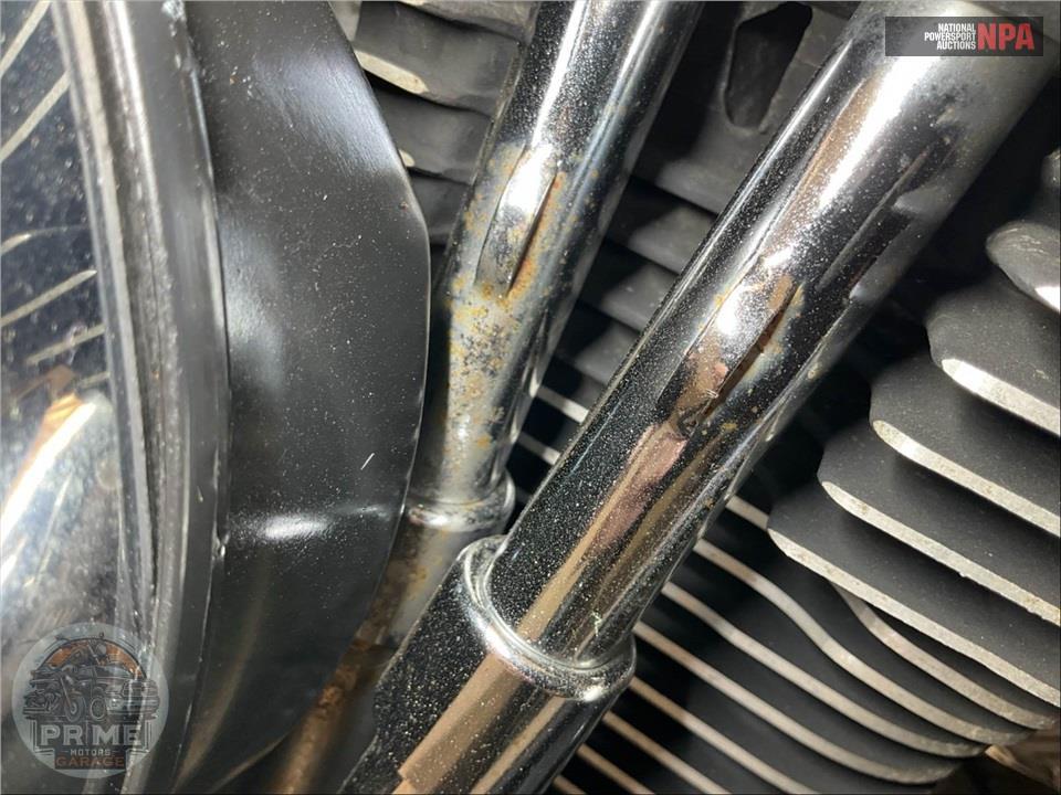1998 Harley-Davidson FLSTS HRTG SPRGR ANNV — фото 10
