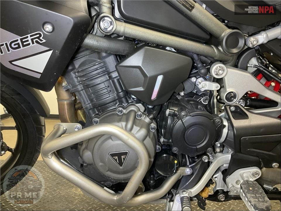 2025 Triumph TIGER 1200 GT PRO — фото 9