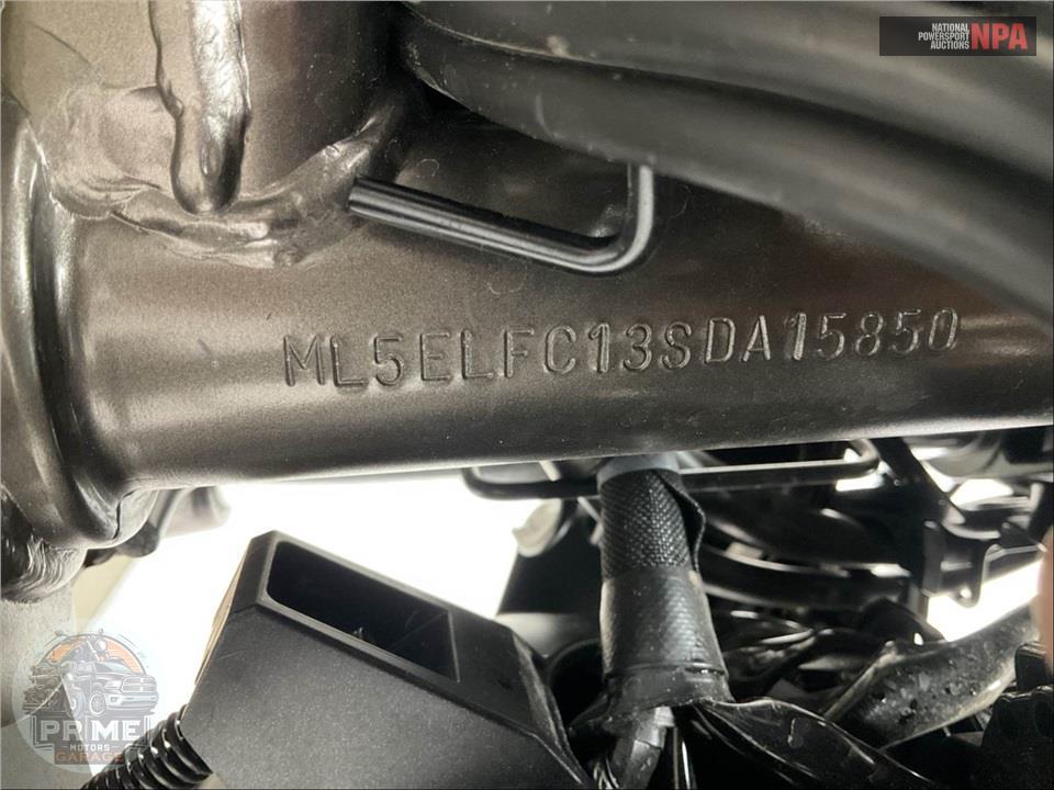 2025 Kawasaki EL450CSFNL ELIMINATOR — фото 19