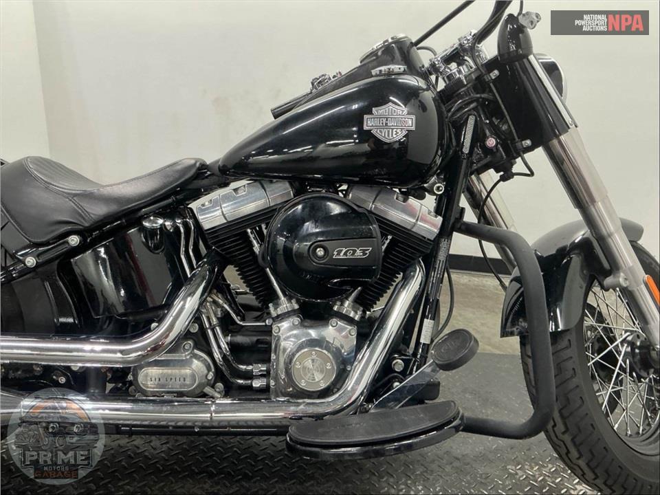 2017 Harley-Davidson FLS SOFTAIL SLIM — фото 6