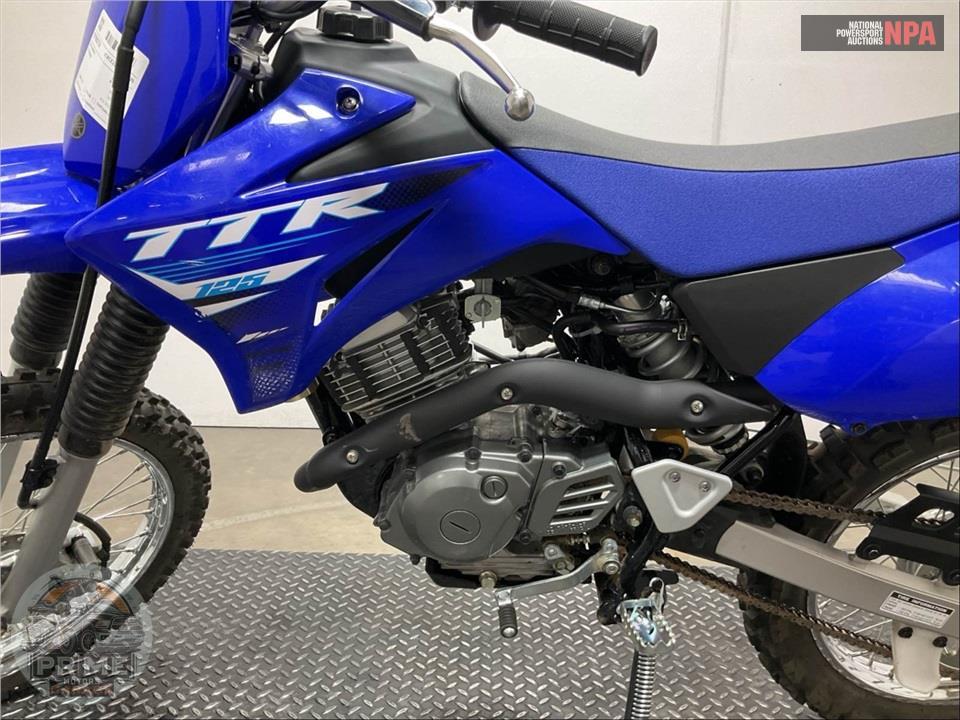 2025 Yamaha TT-R125LE — фото 7