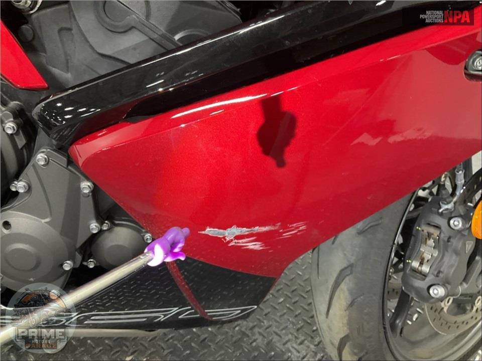2025 Triumph DAYTONA 660 — фото 15