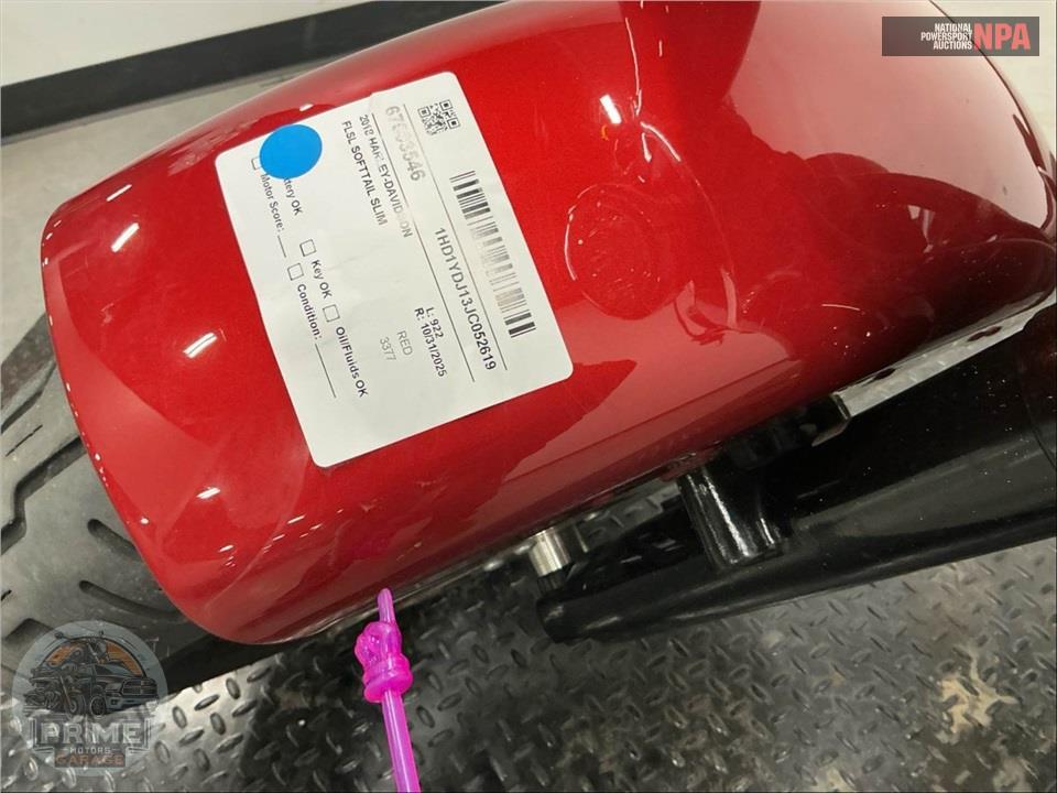 2018 Harley-Davidson FLSL SOFTTAIL SLIM — фото 14