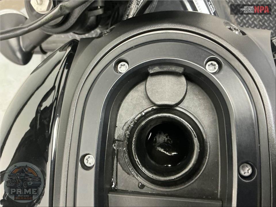 2025 Harley-Davidson RH1250S SPORTSTER S — фото 15