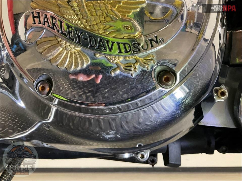 2000 Harley-Davidson FXDL DYNA LOW RIDER — фото 11