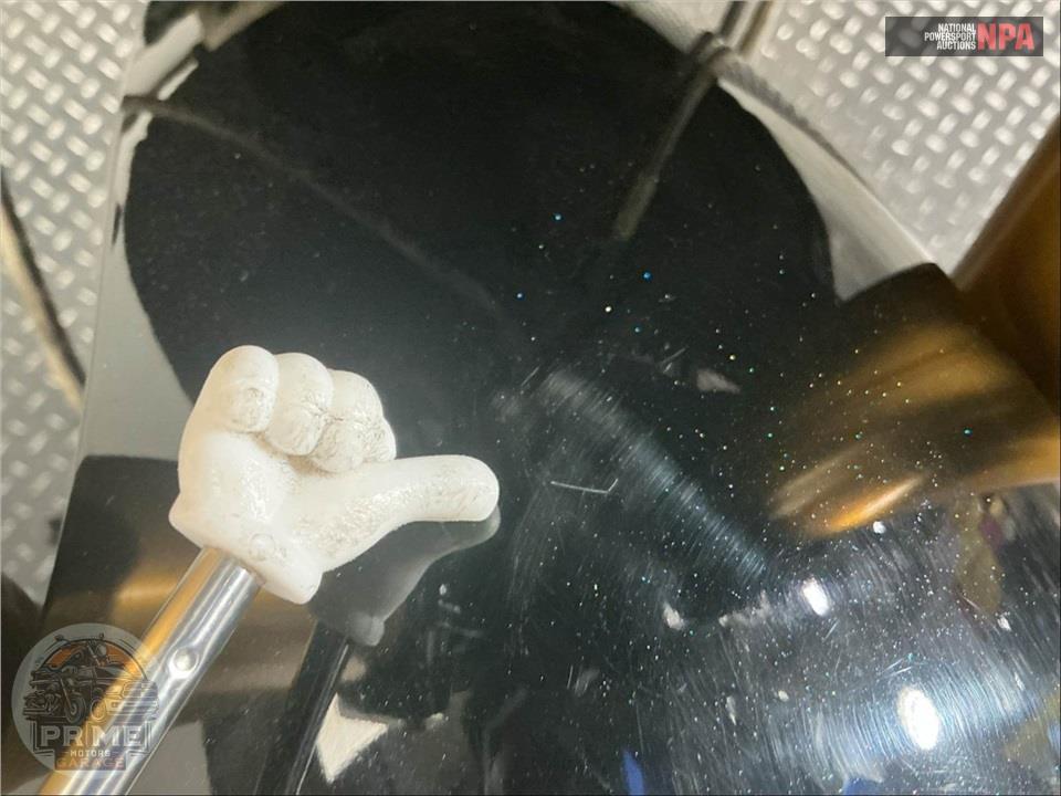 2019 Indian Motorcycle FTR 1200 S RACE REPLICA — фото 20