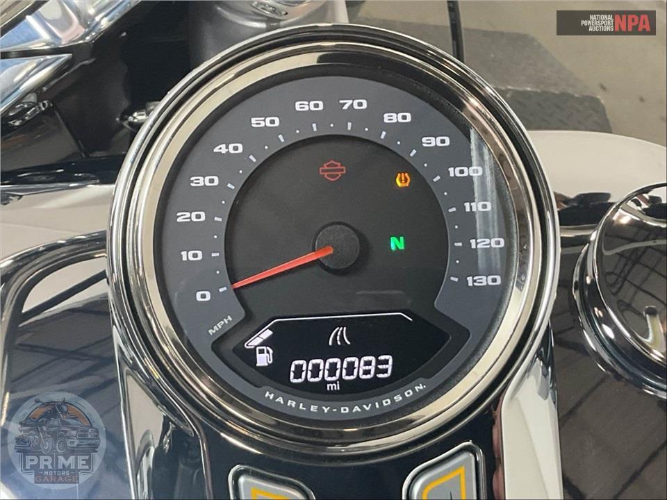 2025 Harley-Davidson FLSTFI SOFTAIL FAT BOY GRAY GHOST — фото 5