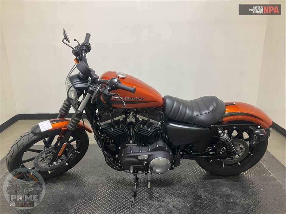 2020 Harley-Davidson XL883N IRON — фото 3