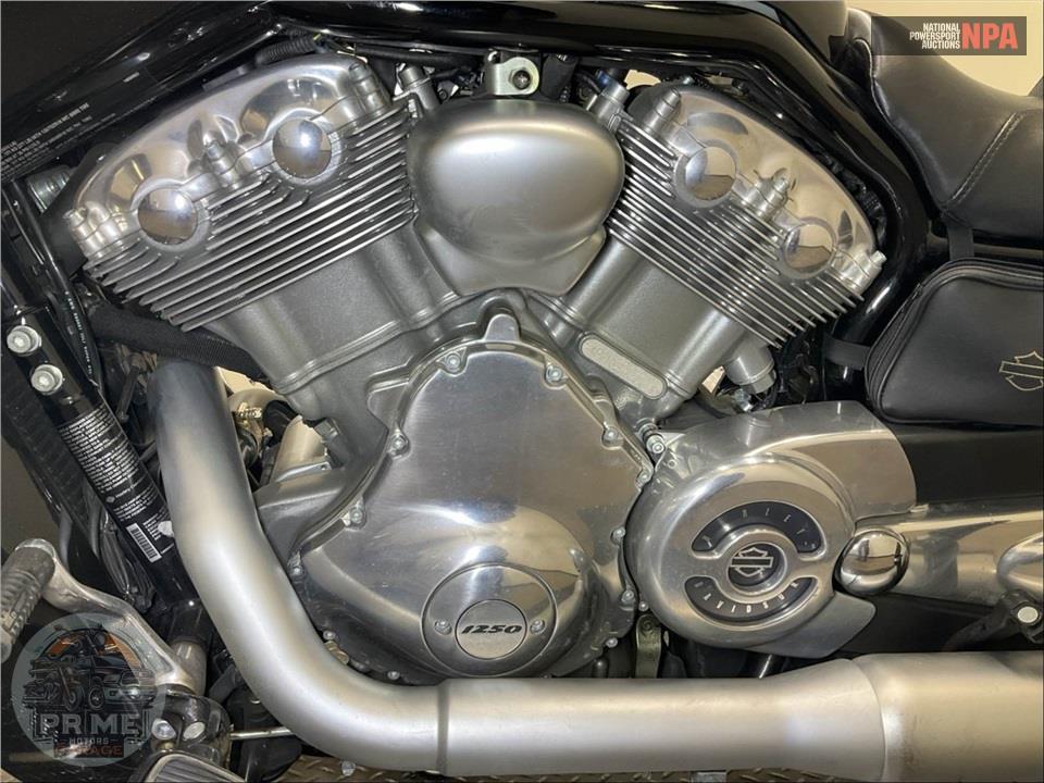 2015 Harley-Davidson VRSCF MUSCLE V-ROD — фото 7