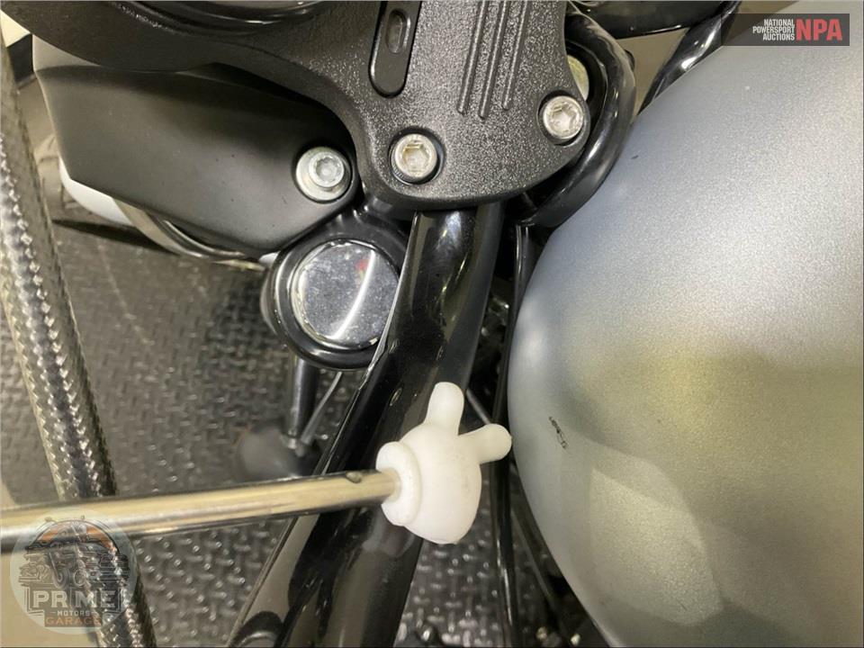 2020 Harley-Davidson XL883N IRON — фото 18