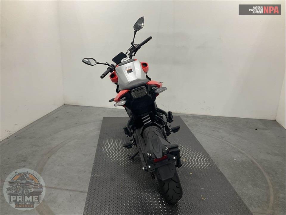 2025 Cf Moto 300NK — фото 4