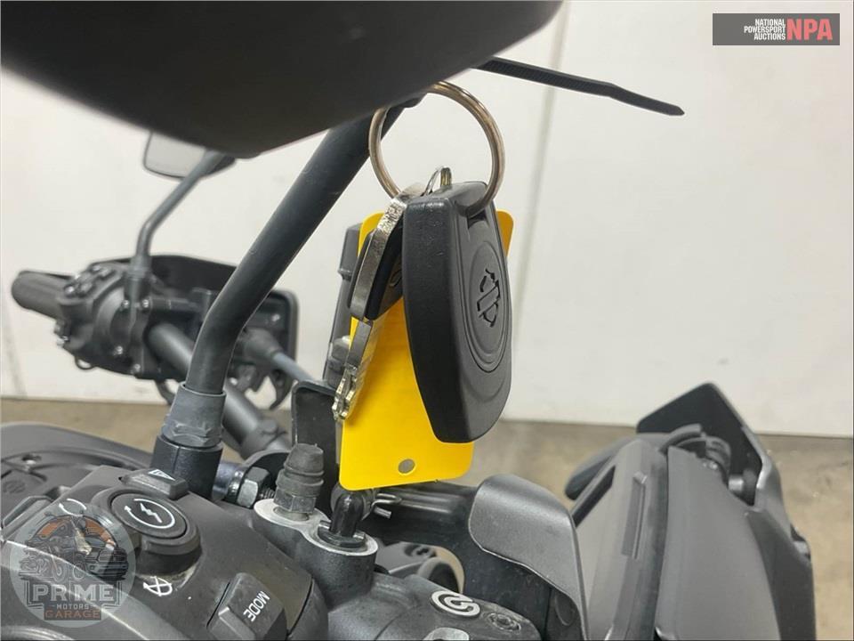 2022 Harley-Davidson RA1250S PAN AMERICA 1250 SPECIAL — фото 13