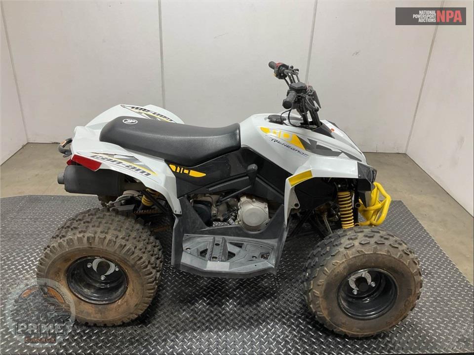 2025 Can-Am RENEGADE 110 EFI — фото 1