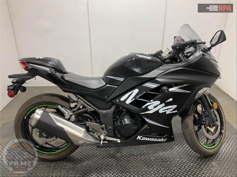 2017 Kawasaki EX300BHFBL NINJA WINTER TEST EDITION — фото 1
