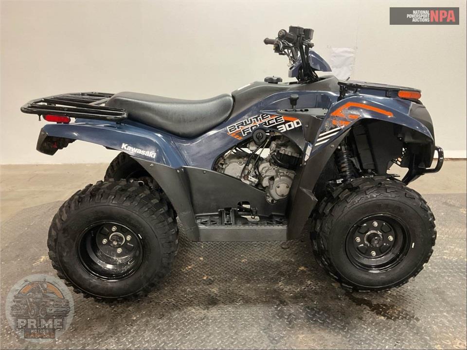 2024 Kawasaki BRUTE FORCE 300 — фото 1