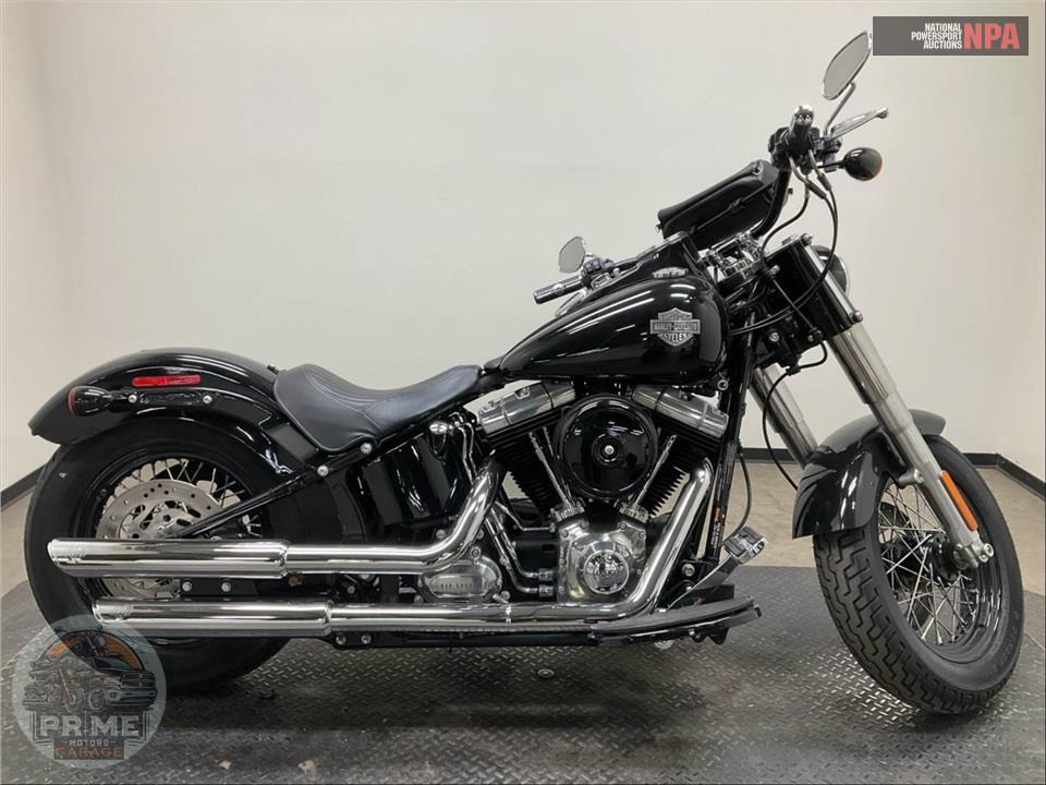 2015 Harley-Davidson FLS SOFTAIL SLIM — фото 1