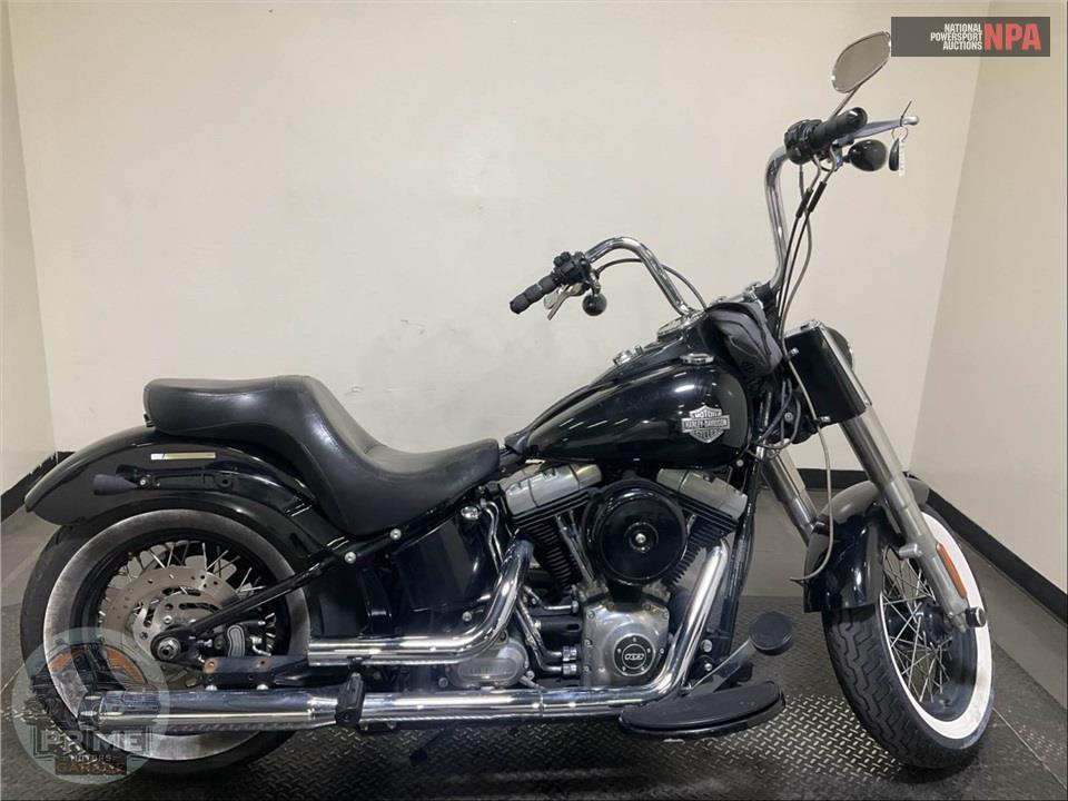 2014 Harley-Davidson FLS SOFTAIL SLIM — фото 1