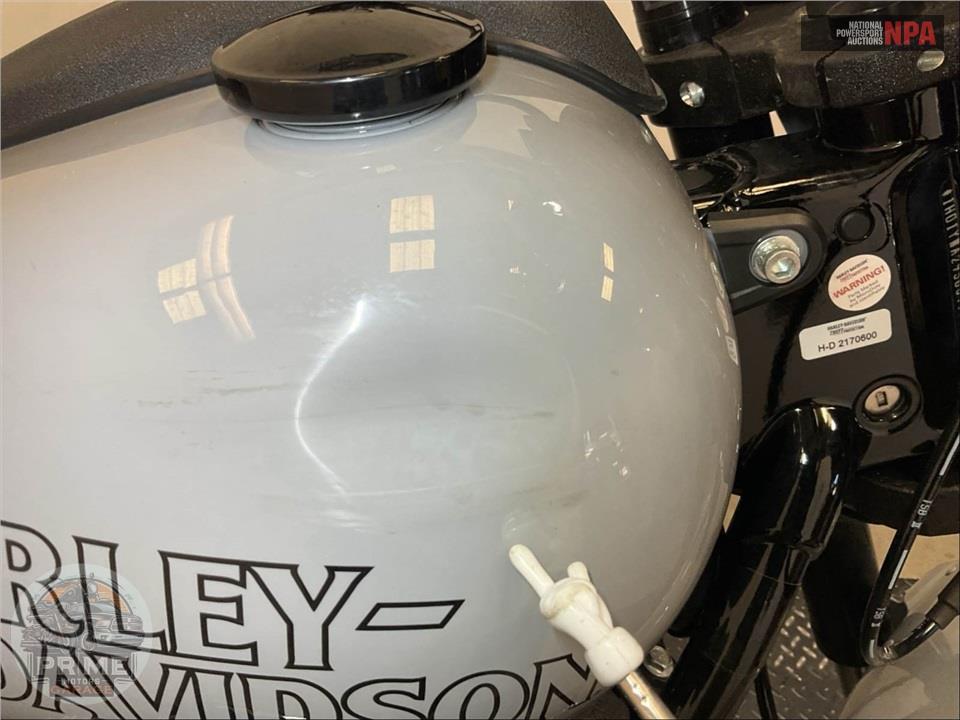 2025 Harley-Davidson FXLRS LOW RIDER S — фото 17