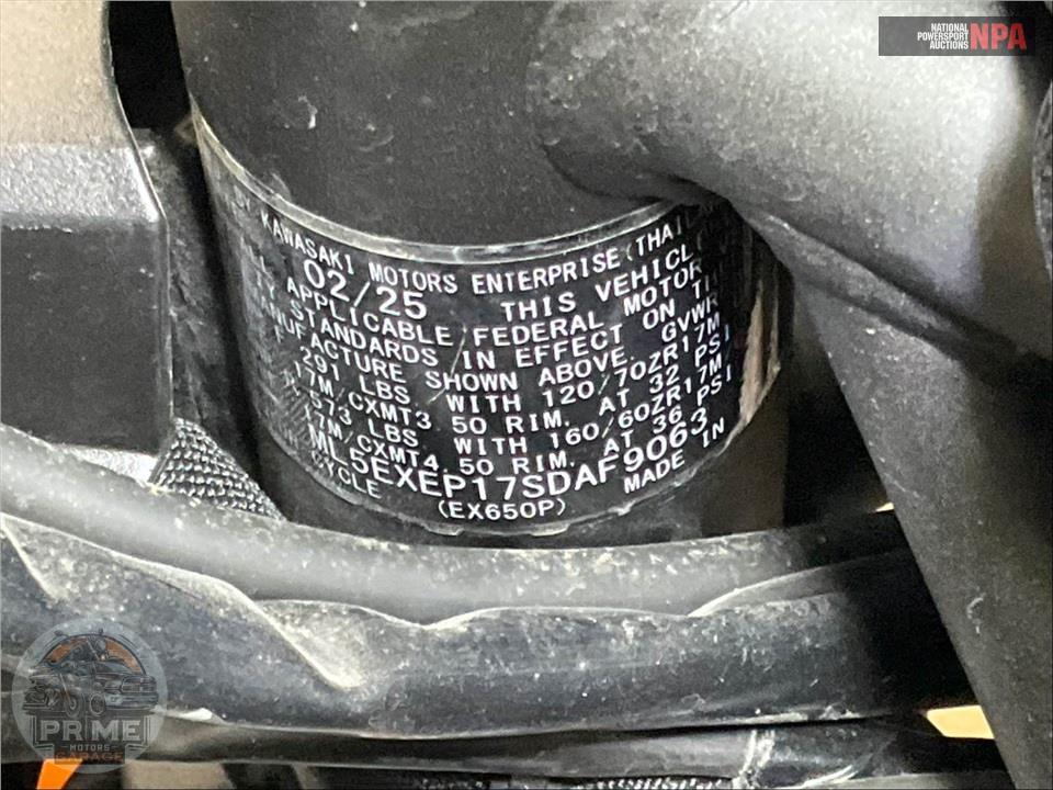 2025 Kawasaki EX650PSFAL NINJA 650 ABS — фото 24