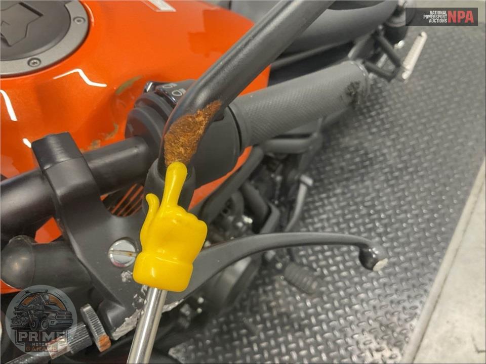 2019 Honda CMX500 REBEL — фото 32