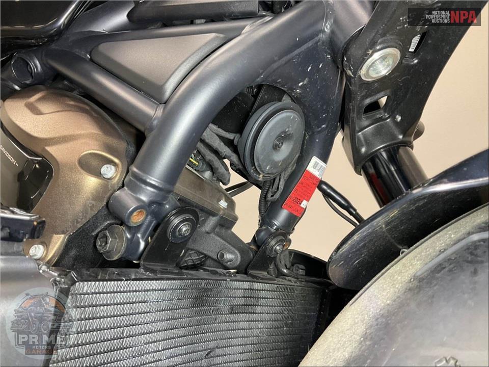 2022 Harley-Davidson RH1250S SPORTSTER S — фото 12