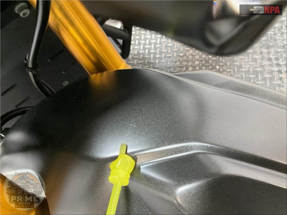 2019 Yamaha SUPER TENERE ES — фото 13