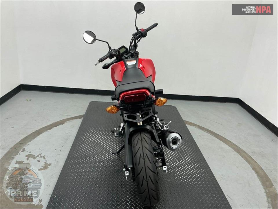 2025 Honda GROM — фото 4