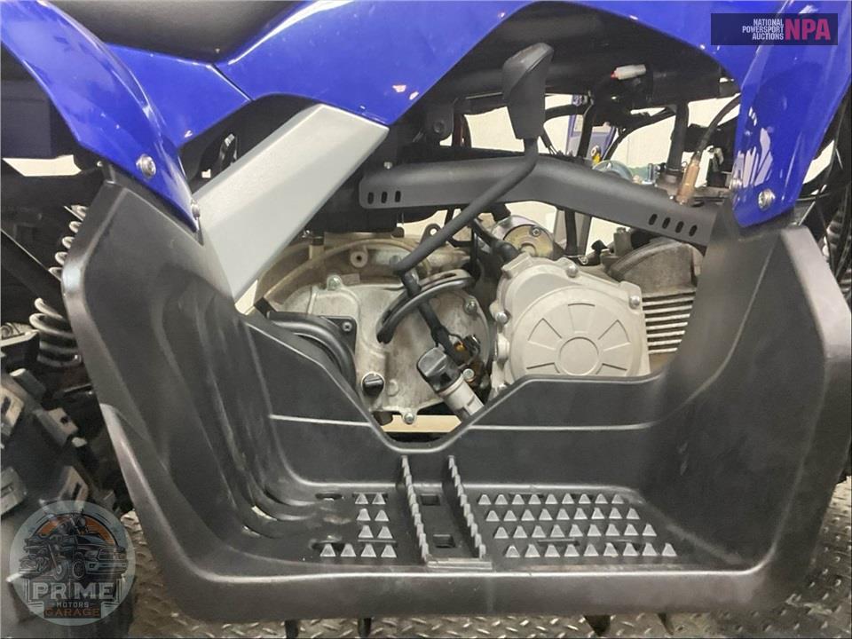 2025 Yamaha RAPTOR 110 — фото 7