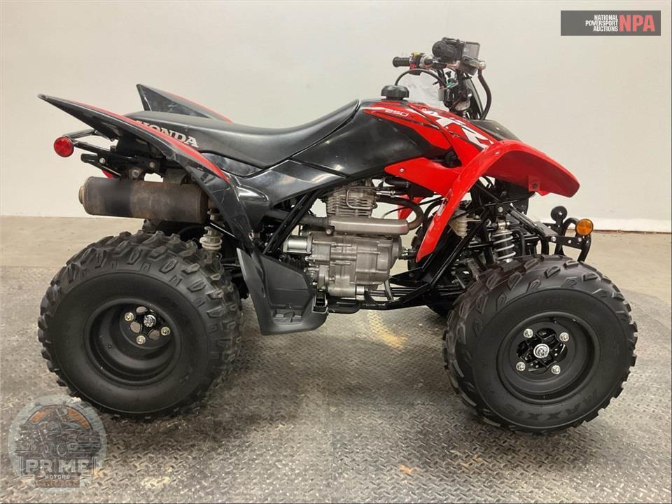 2024 Honda TRX250X — фото 1