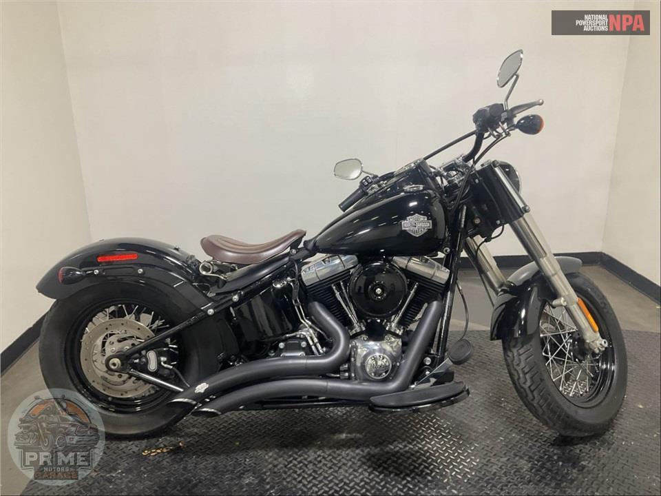 2014 Harley-Davidson FLS SOFTAIL SLIM — фото 1