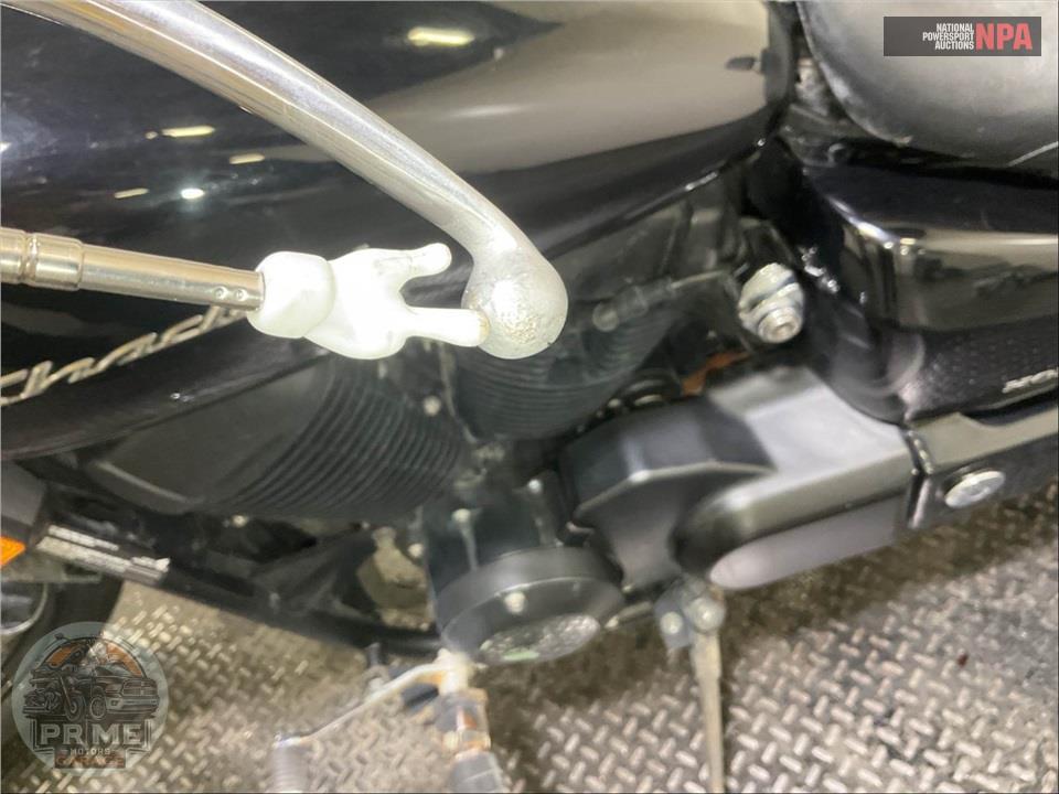 2019 Honda VT750C SHADOW AERO — фото 37