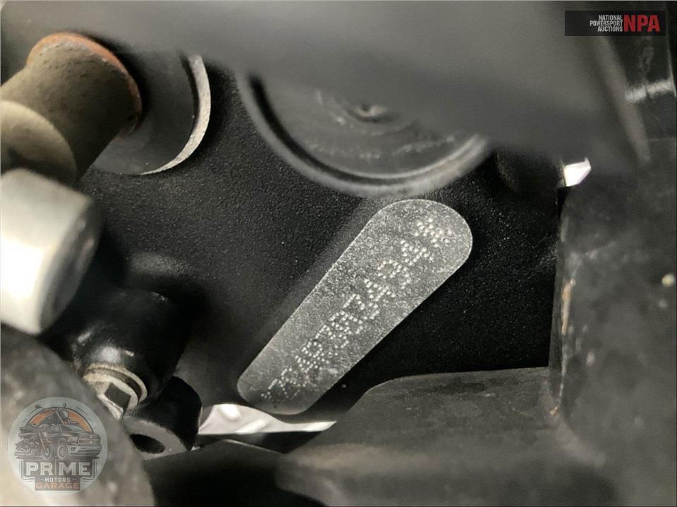 2024 Harley-Davidson RH1250S SPORTSTER S — фото 23