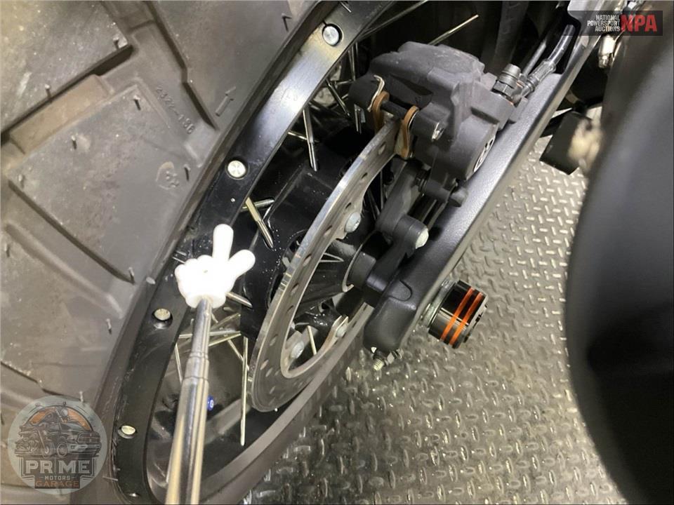 2025 Harley-Davidson RA1250SE CVO PAN AMERICA — фото 18