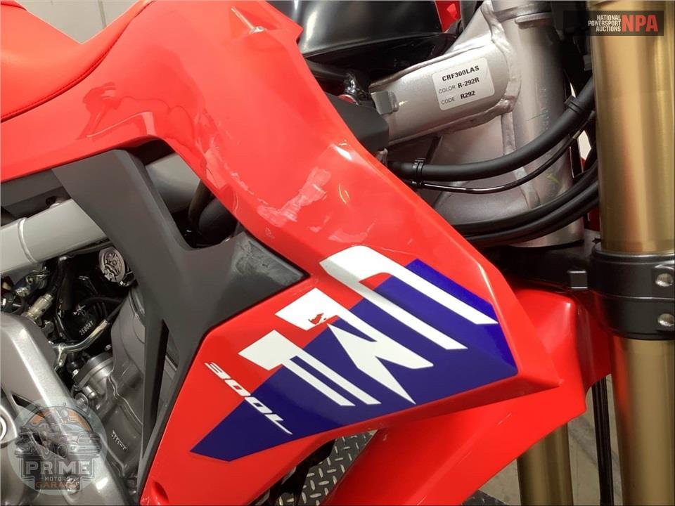 2025 Honda CRF300LA (ABS) — фото 12