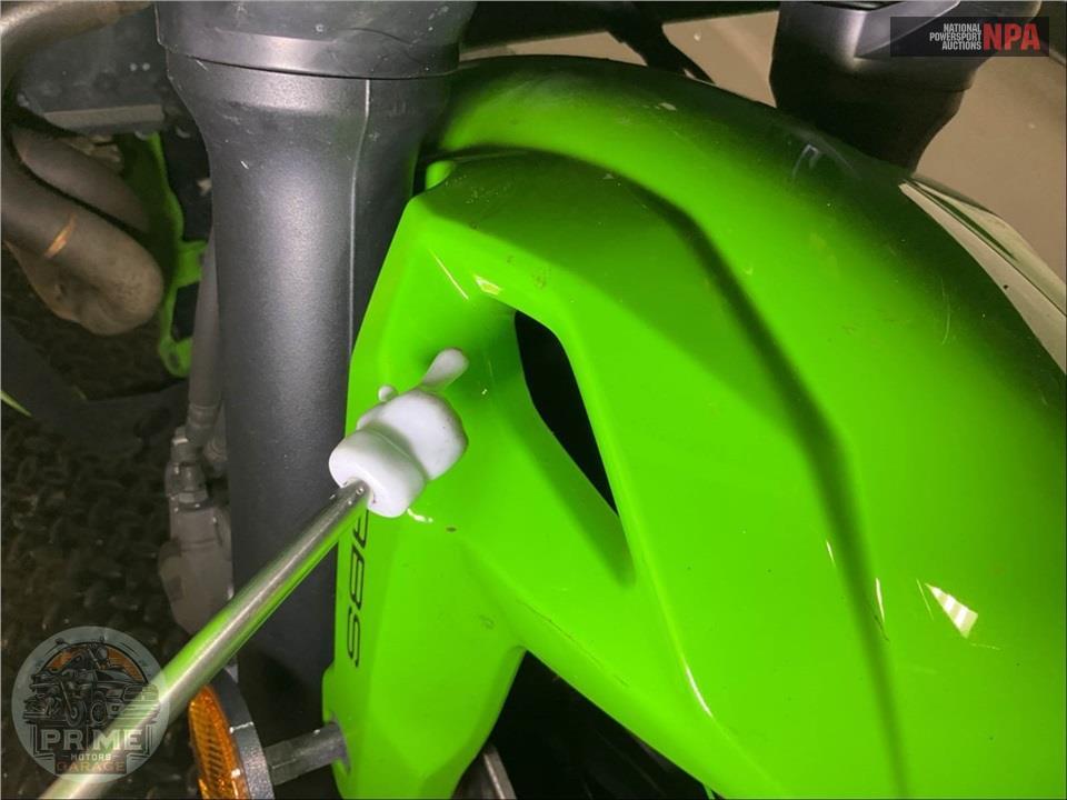 2025 Kawasaki EX650PSFAL NINJA 650 KRT (ABS) — фото 16
