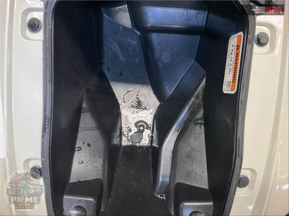 2020 Can-Am RYKER RALLY EDITION 900 ACE — фото 15