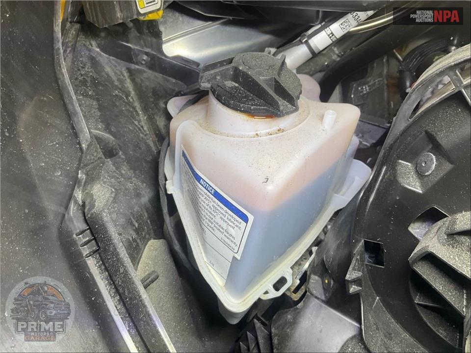 2025 Ski-Doo EXPEDITION SPORT 600 EFI 154.1.5 — фото 9