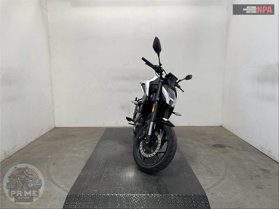 2025 Cf Moto 300NK — фото 2