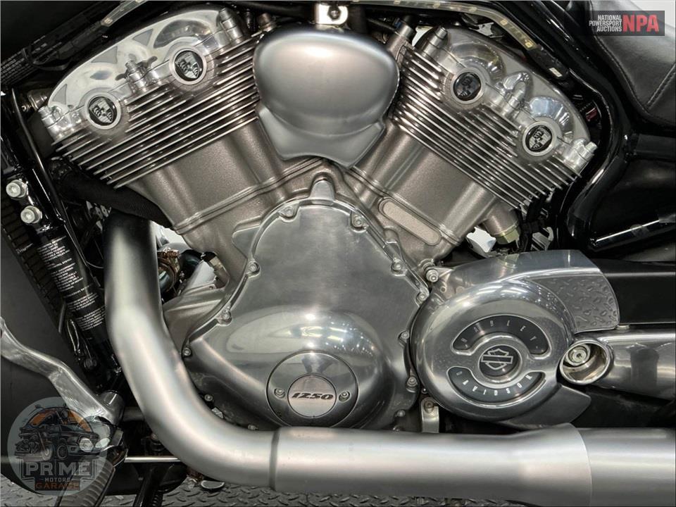 2016 Harley-Davidson VRSCF MUSCLE V-ROD — фото 7