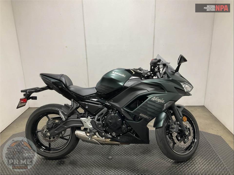 2025 Kawasaki EX650PSFAL NINJA 650 ABS — фото 1