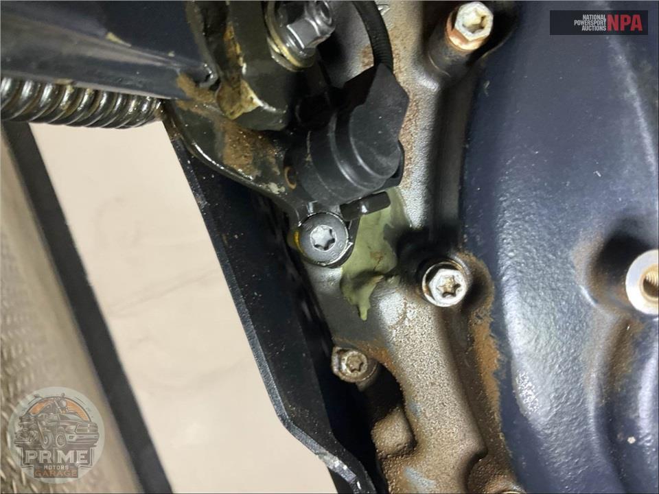 2021 Harley-Davidson RA1250S PAN AMERICA SPECIAL — фото 10