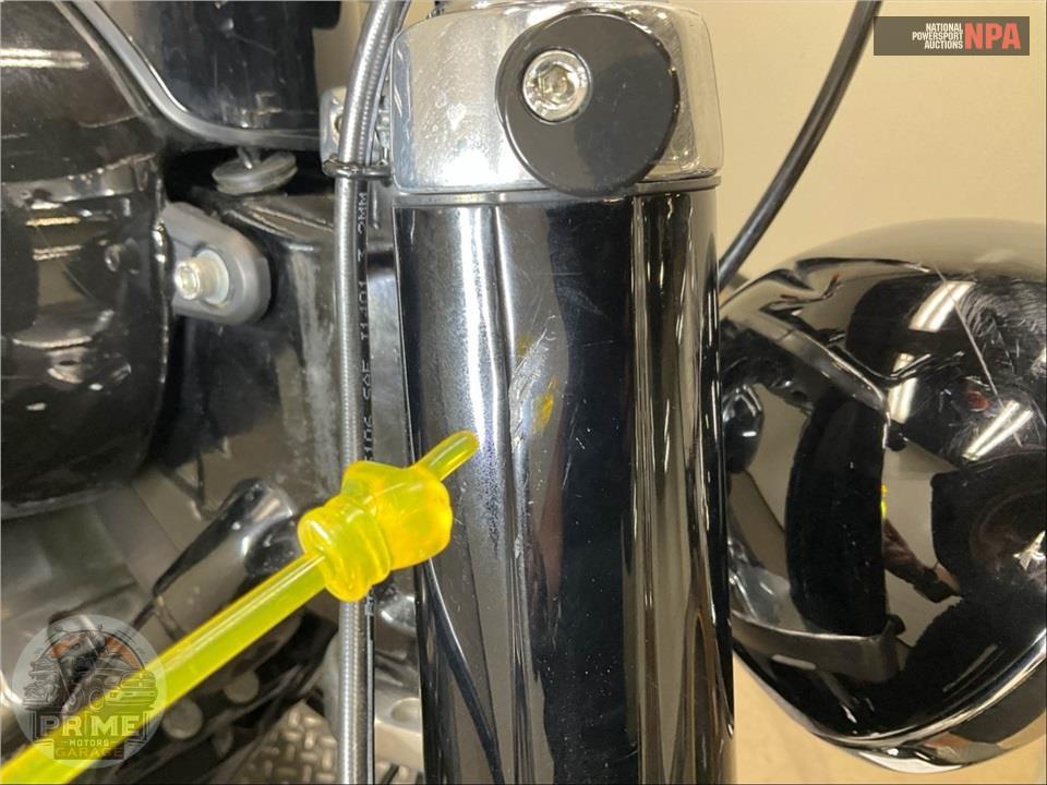 2019 Harley-Davidson FLSL SOFTAIL SLIM — фото 34