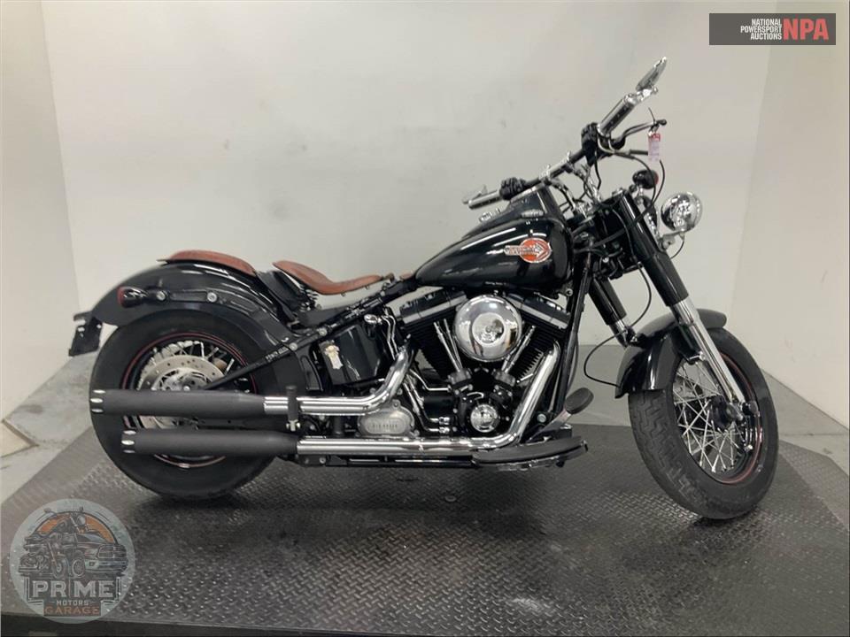2013 Harley-Davidson FLS SOFTAIL SLIM — фото 1