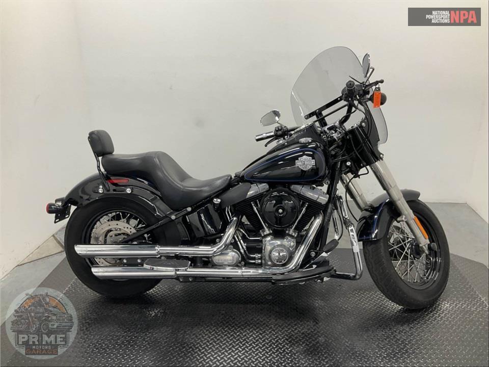 2015 Harley-Davidson FLS SOFTAIL SLIM — фото 1