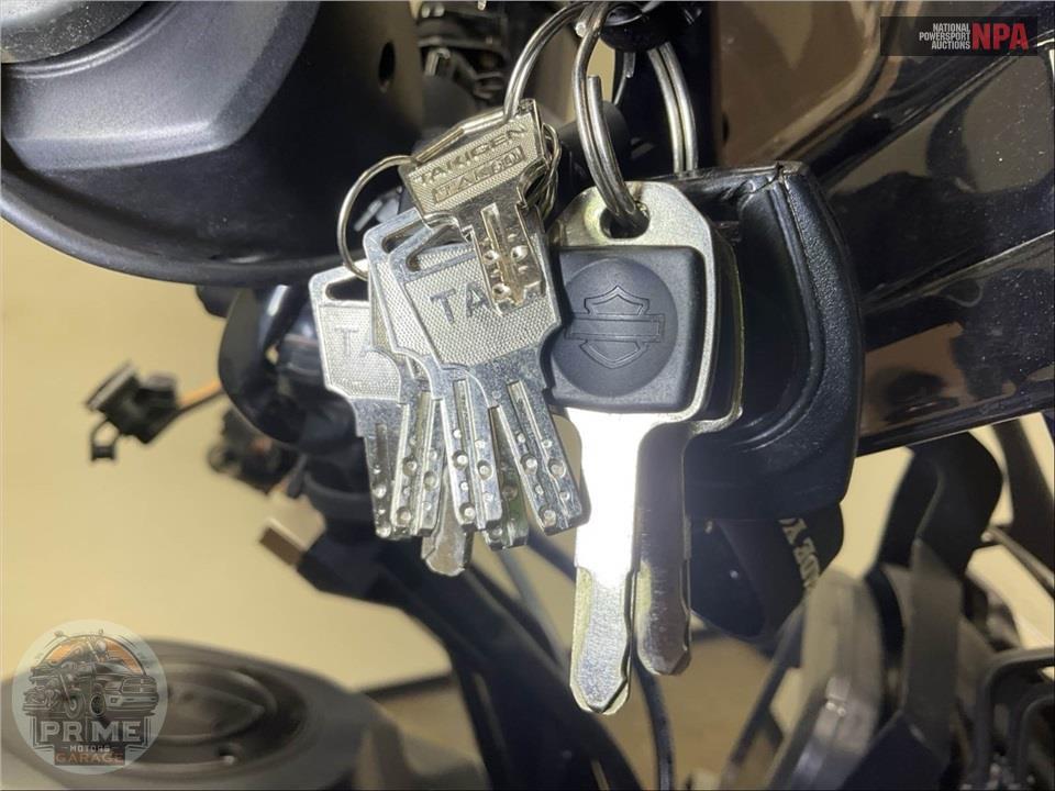 2022 Harley-Davidson RA1250S PAN AMERICA 1250 SPECIAL — фото 10