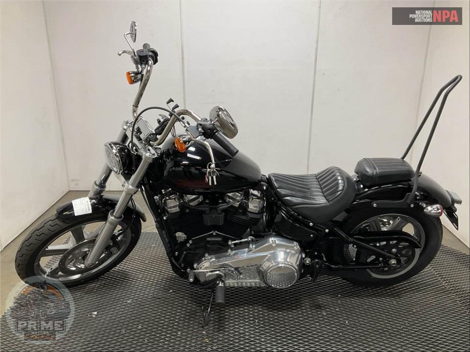 2024 Harley-Davidson FXST SOFTAIL STANDARD — фото 3
