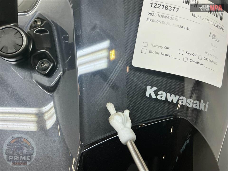 2025 Kawasaki EX650RSFNL NINJA 650 — фото 15