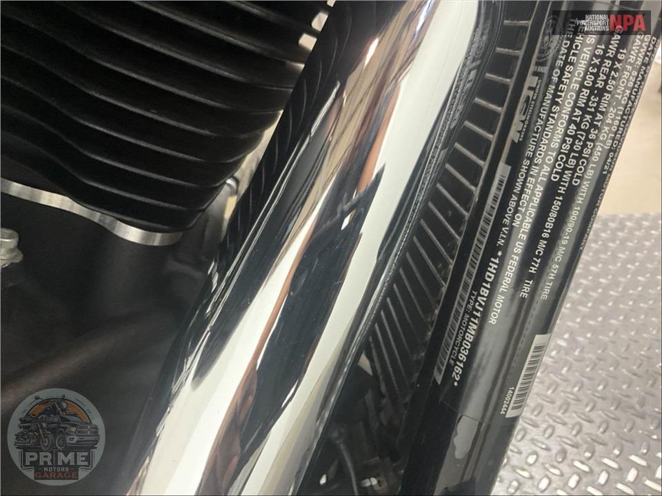 2021 Harley-Davidson FXST SOFTAIL STANDARD — фото 22