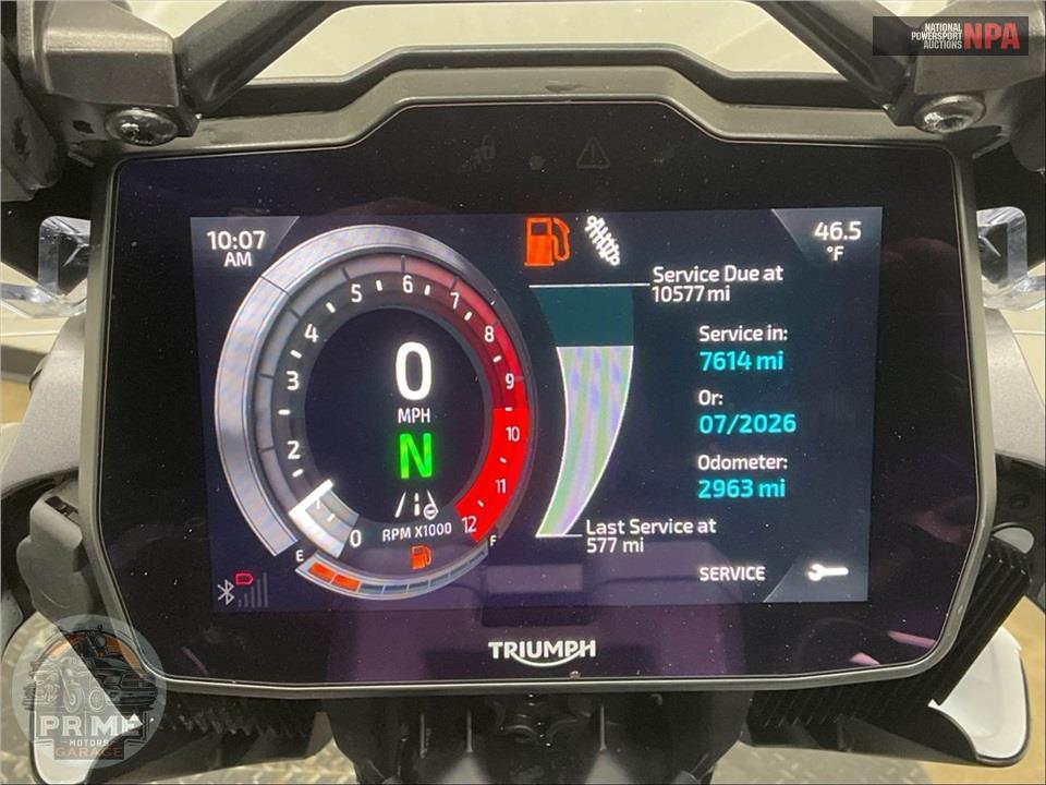 2025 Triumph TIGER 1200 GT PRO — фото 5