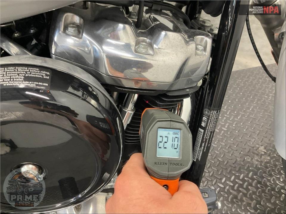 2024 Harley-Davidson FXST SOFTAIL STANDARD — фото 8